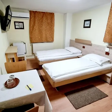 Pensiunea Zodiac Bed and Breakfast 3*