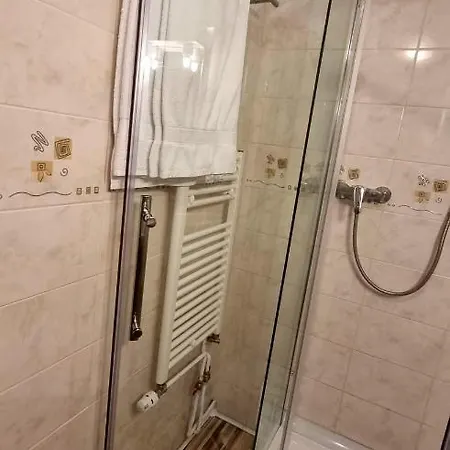 Panzió Pensiunea Zodiac 3*