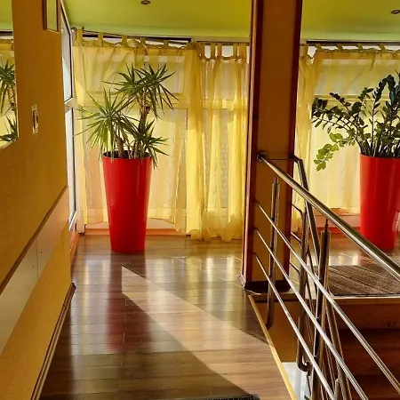 Pensiunea Zodiac Bed and Breakfast Τιμισοάρα