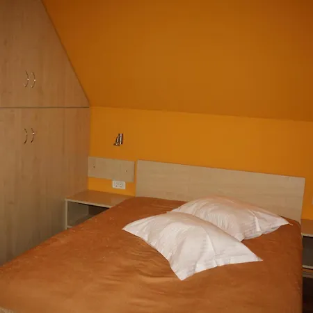 Pensiunea Zodiac Τιμισοάρα