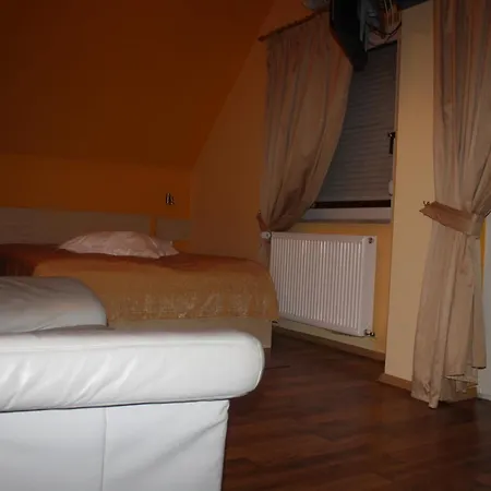 Bed and Breakfast Pensiunea Zodiac 3*