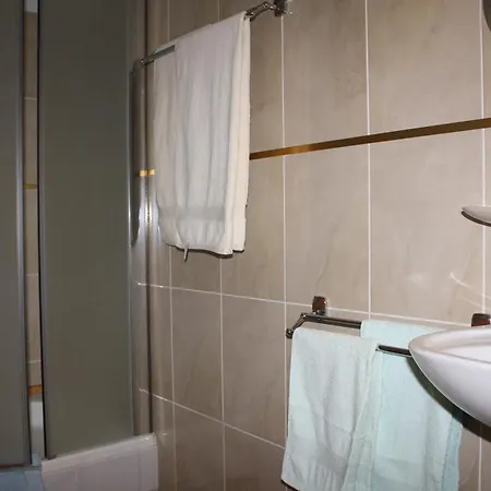 Pensiunea Zodiac Temesvár