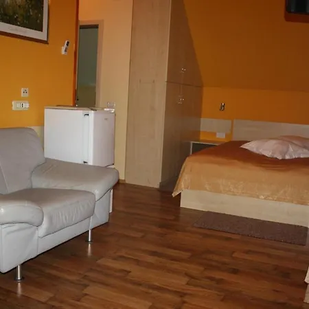 Bed and Breakfast Pensiunea Zodiac 3*