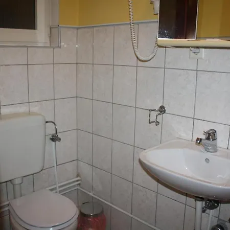 Pensiunea Zodiac 3* Temesvár