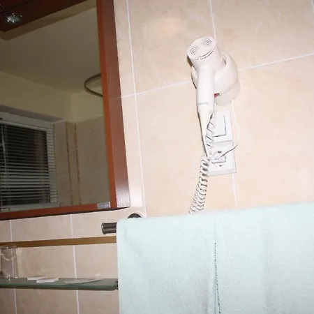 Pensiunea Zodiac Panzió Temesvár