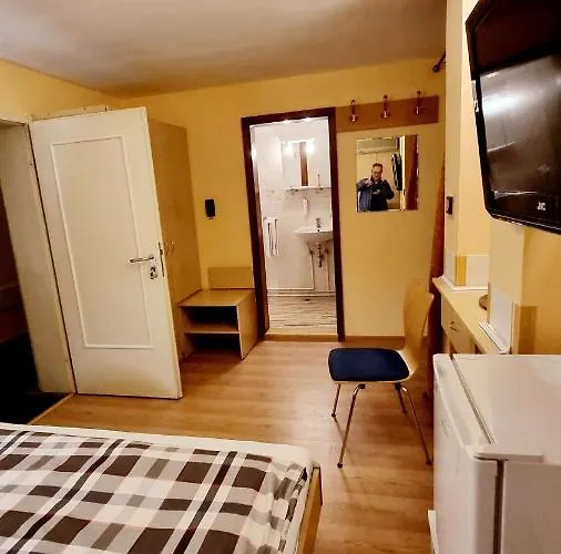 Pensiunea Zodiac Bed and Breakfast Τιμισοάρα