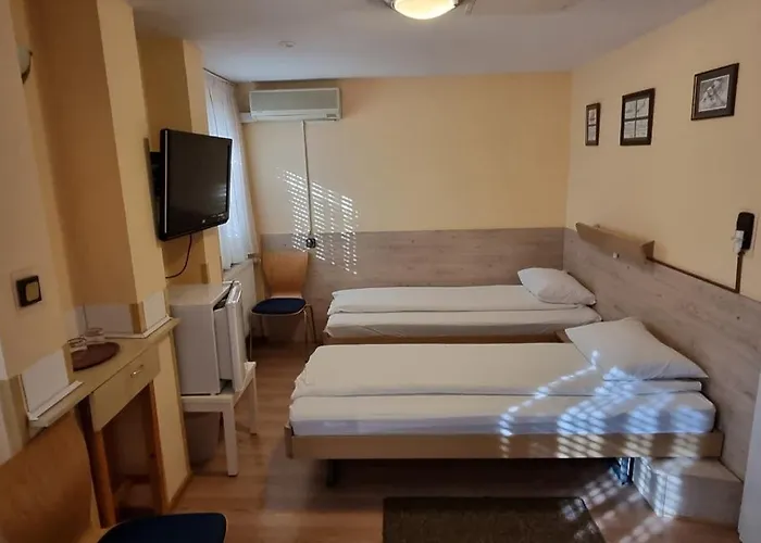 Bed and Breakfast Pensiunea Zodiac Τιμισοάρα