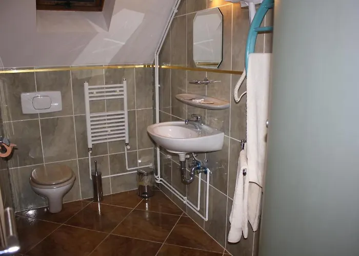 Bed and Breakfast Pensiunea Zodiac Τιμισοάρα