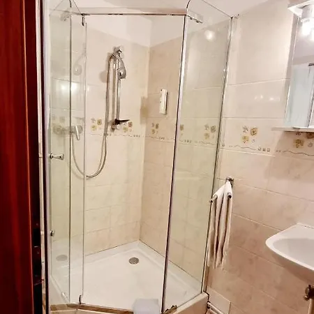 Pensiunea Zodiac 3* تيميشورا