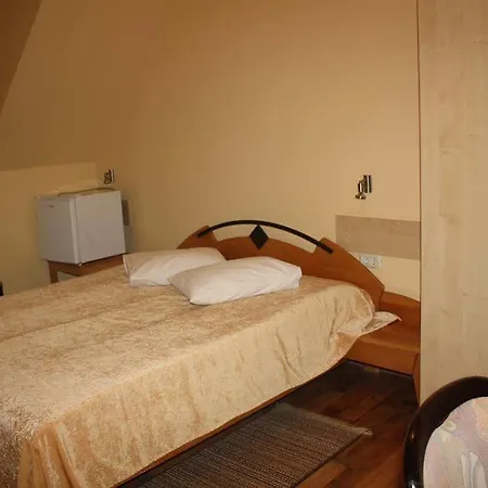 Pensiunea Zodiac 3* تيميشورا