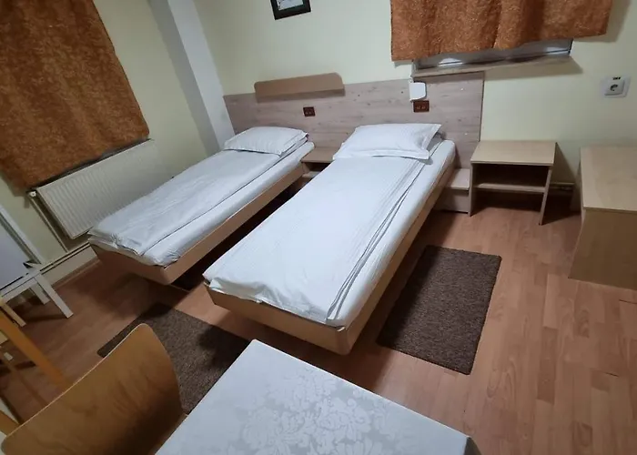 Bed & Breakfast Pensiunea Zodiac 3*