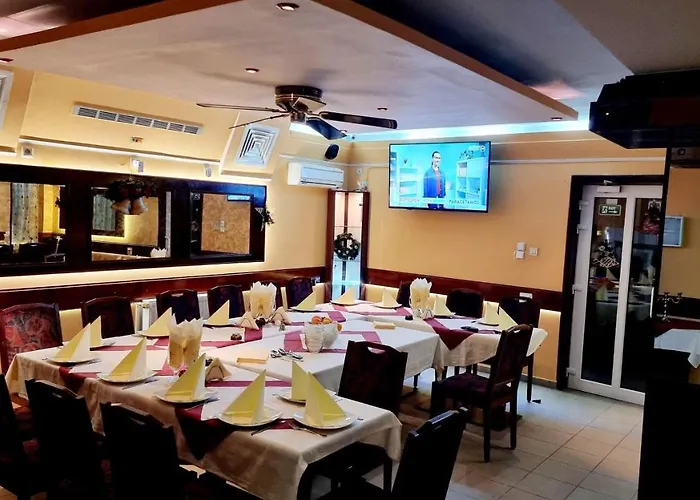 Pensiunea Zodiac 蒂米什瓦拉