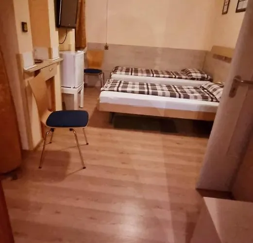 Bed & Breakfast Pensiunea Zodiac 3*