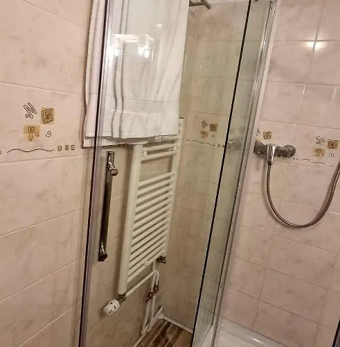 Bed & Breakfast Pensiunea Zodiac 3*