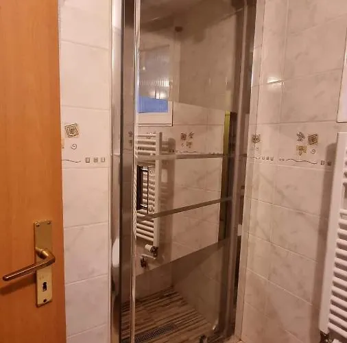 Pensiunea Zodiac 3* Timişoara