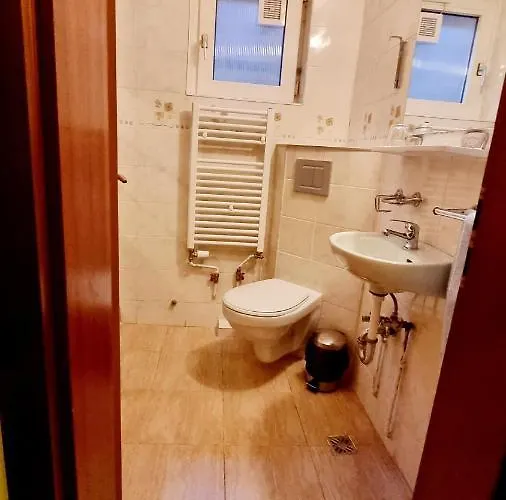 Pensiunea Zodiac Timişoara