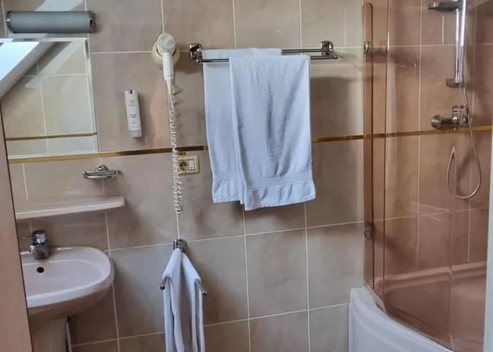 Pensiunea Zodiac Bed & Breakfast