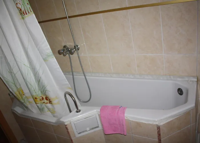 Pensiunea Zodiac Timişoara