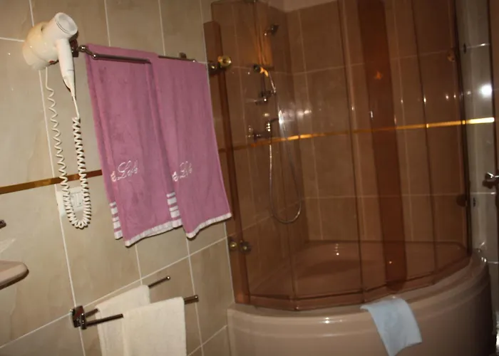 Bed & Breakfast Pensiunea Zodiac 3*