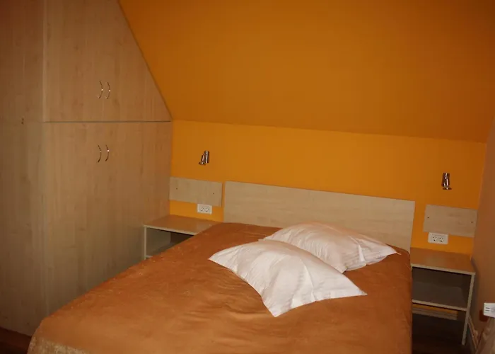 Pensiunea Zodiac Timişoara