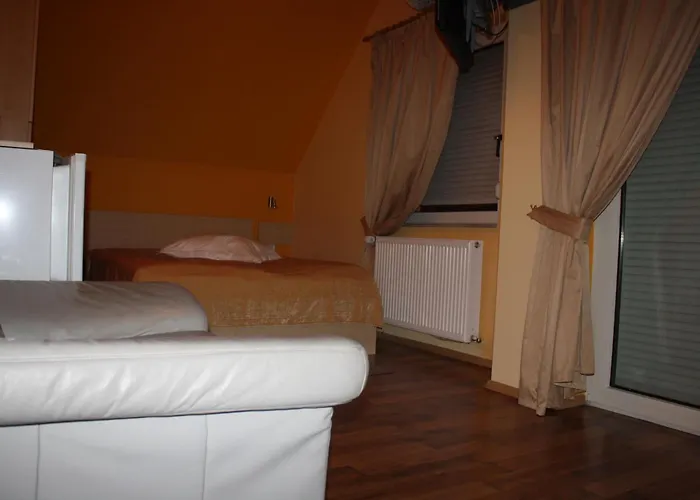 Bed & Breakfast Pensiunea Zodiac 3*