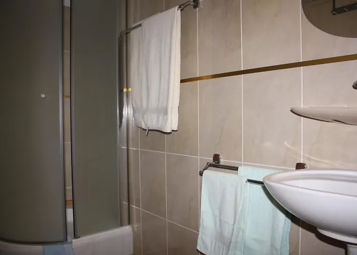 Pensiunea Zodiac Timişoara