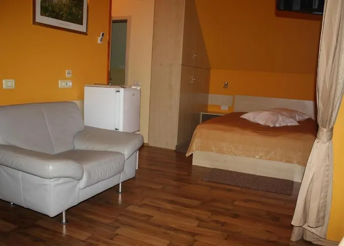 Bed & Breakfast Pensiunea Zodiac 3*