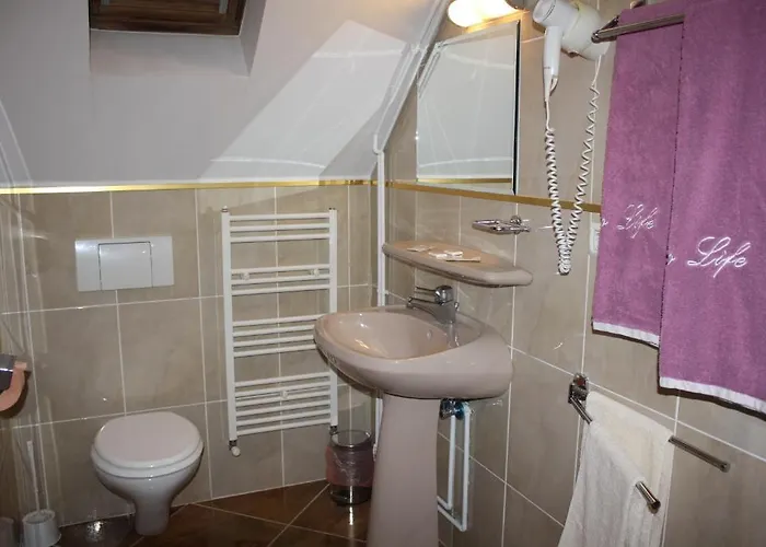 Bed & Breakfast Pensiunea Zodiac