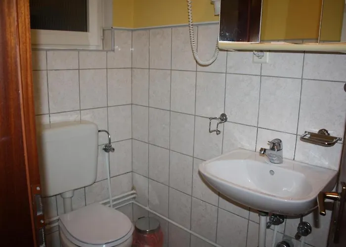 Pensiunea Zodiac 3* Timişoara