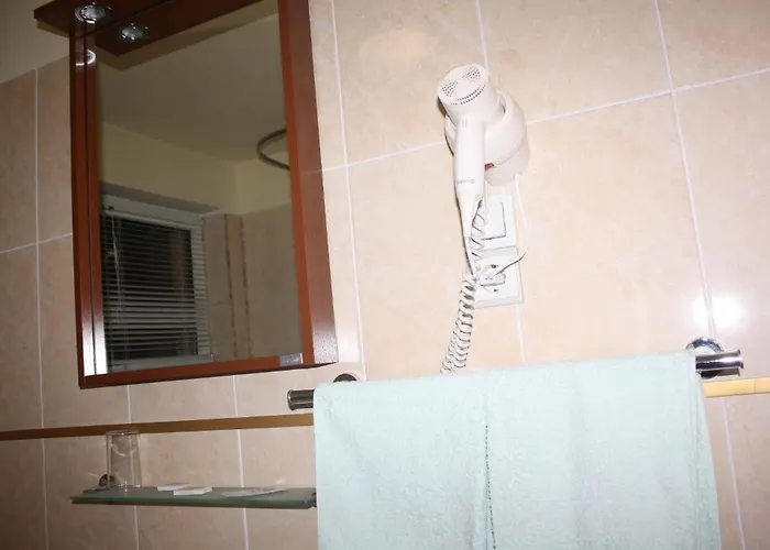 Pensiunea Zodiac Bed & Breakfast Timişoara