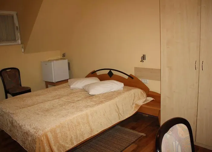 Pensiunea Zodiac 3* Timişoara